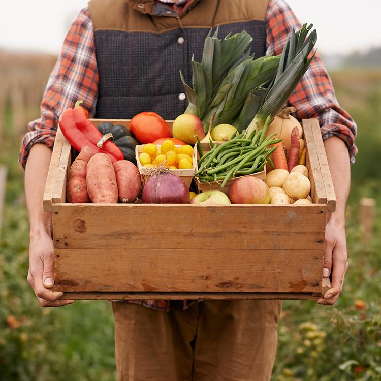 Georgia Harvest Calendar